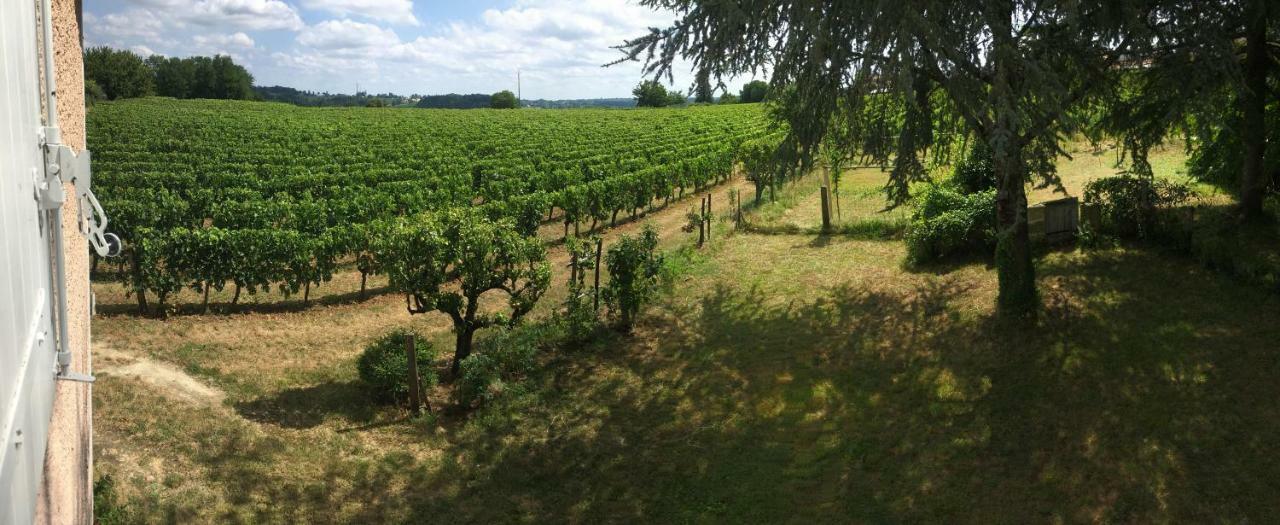 Apartament Mirande Montagne-Saint Emilion Montagne  Zewnętrze zdjęcie
