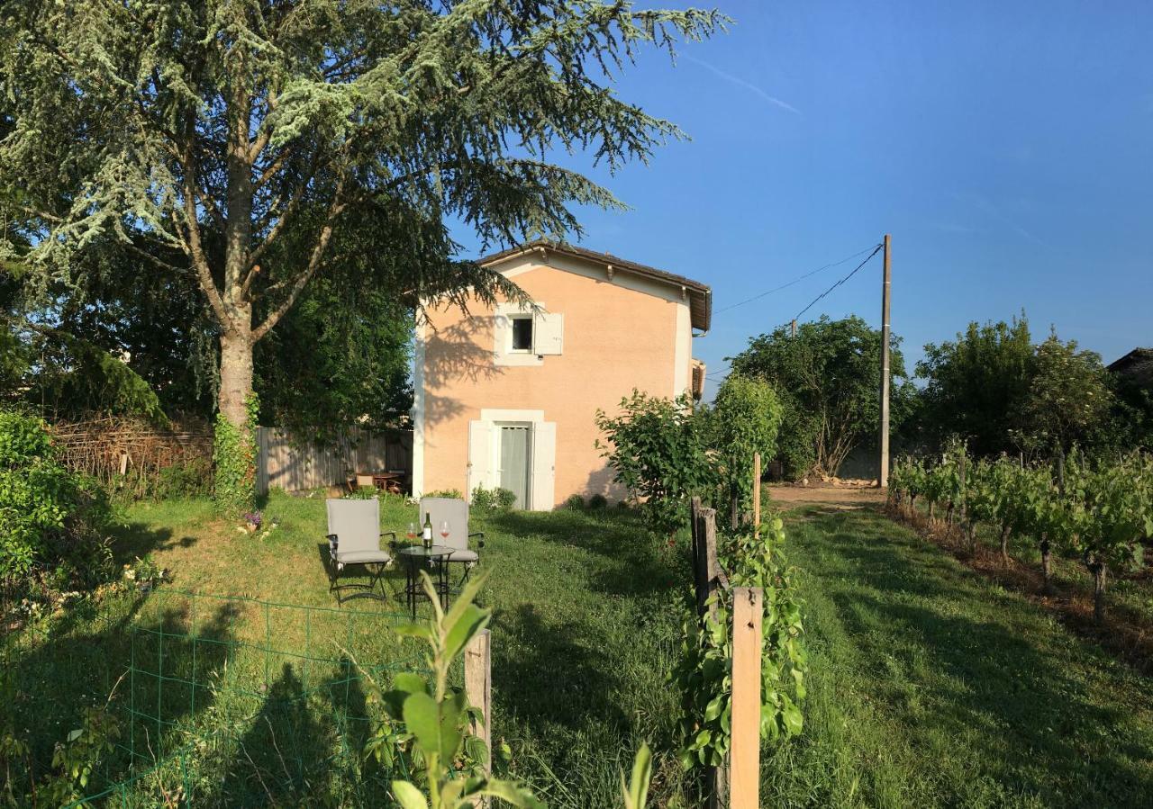 Apartament Mirande Montagne-Saint Emilion Montagne  Zewnętrze zdjęcie